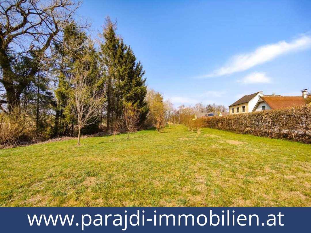 austria-homes-kirchberg an der wild-3811-20250830141742-0025901055.jpg